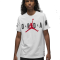 Футболка Nike Air Jordan Stretch SS DV1445-100