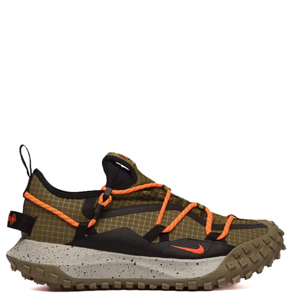 Nike ACG Mountain Fly Low GTX