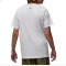 Футболка чоловіча Air Jordan Photo White HJ2354-100