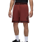 Шорти Nike Air Jordan Dri-FIT Sport Diamond HF9910-231
