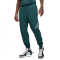 Штани Nike Air Jordan Essentials Fleece Baseline FD7345-366