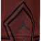 Шорти Nike Air Jordan Dri-FIT Sport Diamond HF9910-231