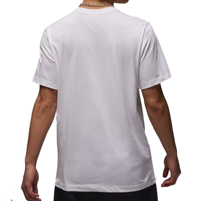 Футболка Nike Air Jordan Ss Crew IB7353-101