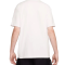 Футболка чоловіча Nike Acg Tee Summit White FQ3740-121