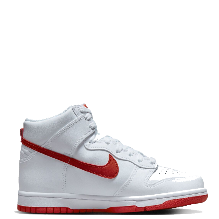 Nike Dunk High DB2179-111