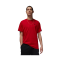 ФУТБОЛКА AIR JORDAN BRAND GFX SS CREW 3 BEIGE DX9597-687