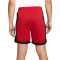 Шорти Nike Air Jordan Dri-FIT Sport Mesh DH9077-687
