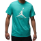 Футболка Nike Air Jordan Jumpman Flight AO0664-392