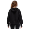 Кофта Nike Air Jordan Sport Fleece FB4609-010