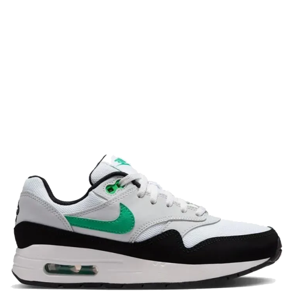 Nike Air Max 1 DZ3307-108