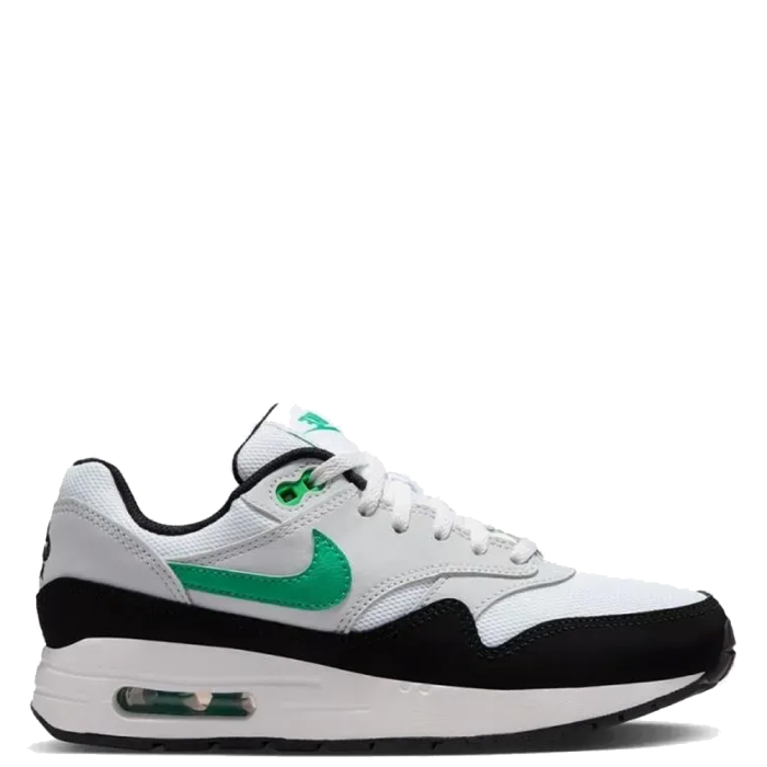Nike Air Max 1 DZ3307-108