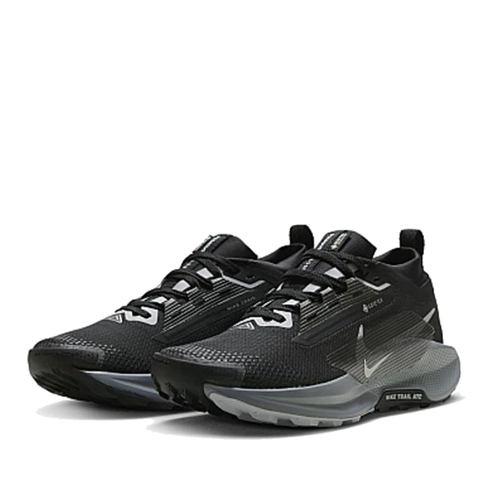 NIKE PEGASUS TRAIL 5 GORE-TEX BLACK FQ0912-001