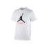 NIKE JUMPFLIGHT WHITE