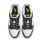 Nike Dunk Low FQ2431-001