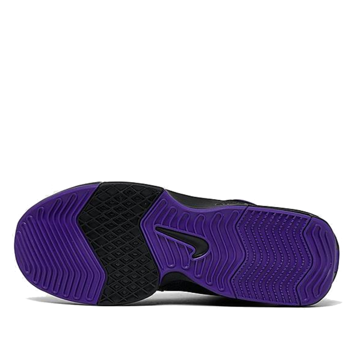 Nike Lebron Witness 8 FB2239-001