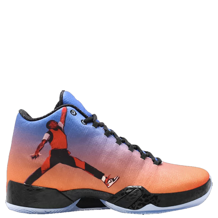 Nike Air Jordan 29 (MMulticolor)