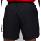 Шорти Nike Air Jordan Dri-FIT Sport FN5842-010