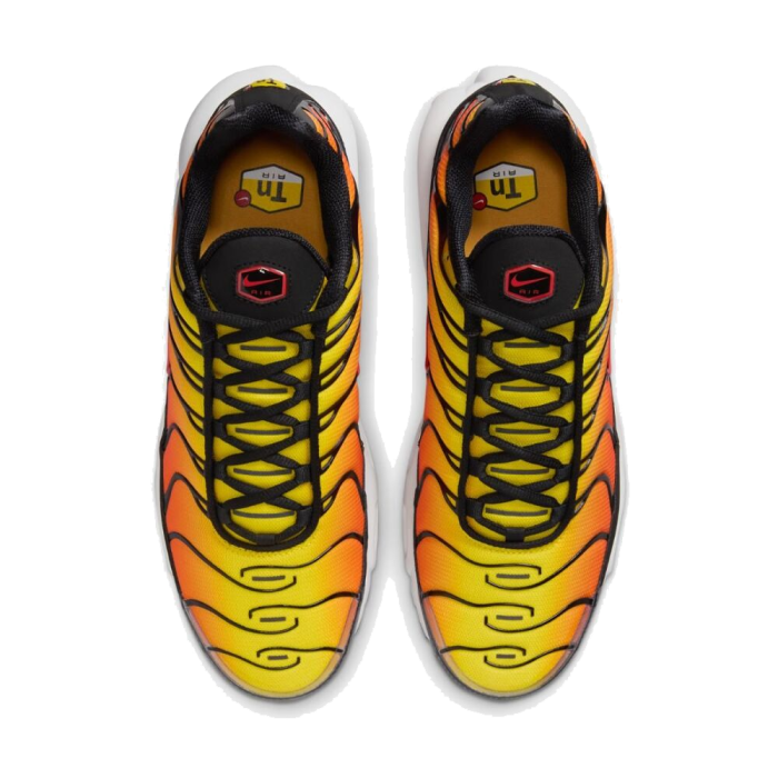 Nike Air Max Plus Sunset HF0552-001