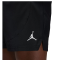 Шорти Nike Air Jordan Dri-FIT Sport FN5842-010