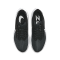 Nike Air Zoom Pegasus 39 Black DH4071-001