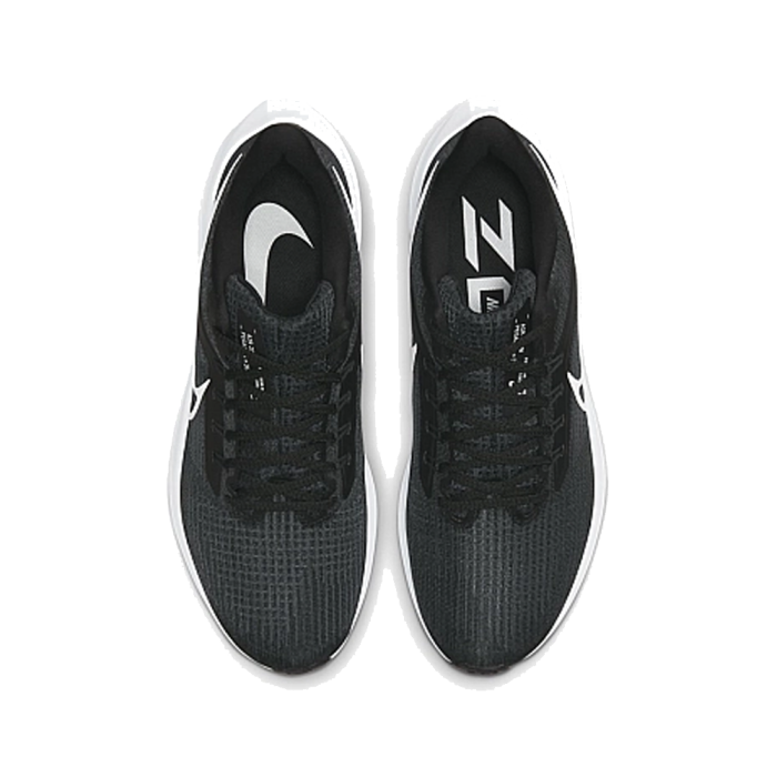 Nike Air Zoom Pegasus 39 Black DH4071-001