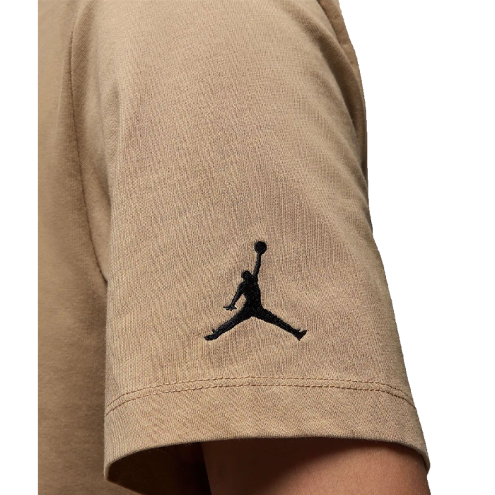 Футболка Nike Air Jordan Crew DM3182-257