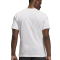Футболка Nike Air Jordan Crew DM3182-100