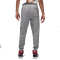 Спортивні штани Nike Air Jordan Essentials Fleece Baseline FD7345-091