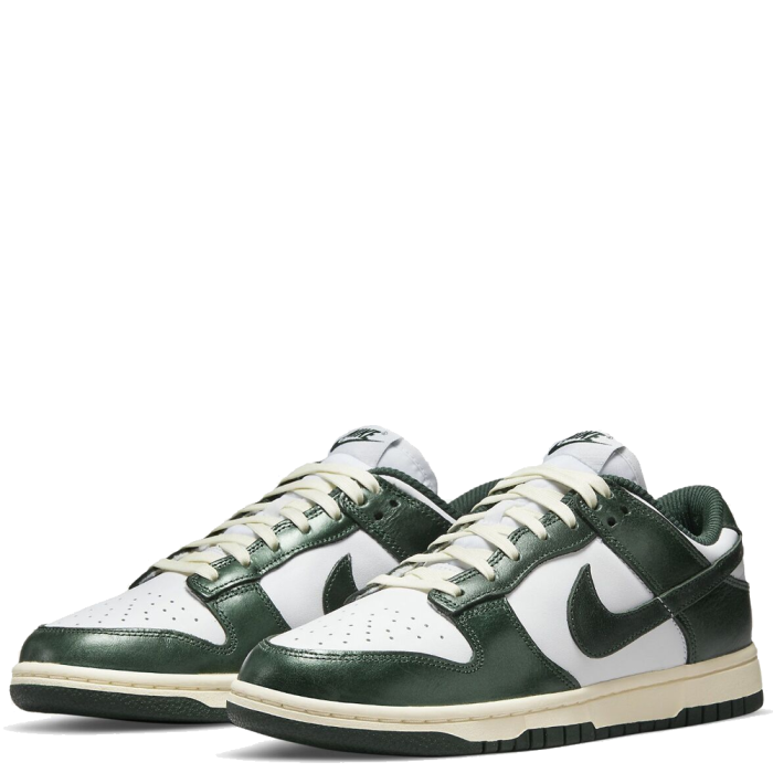 Nike Dunk Low Vintage DQ8580-100