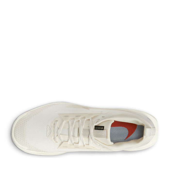 Nike Pegasus Trail 5 GTX Gore-Tex White