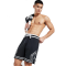 ШОРТИ AIR JORDAN DRI-FIT SPORT BLACK  DX1487-010