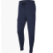 Штани Nike Tech Fleece Jogger CU4495-410