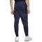 Штани Nike Tech Fleece Jogger CU4495-410