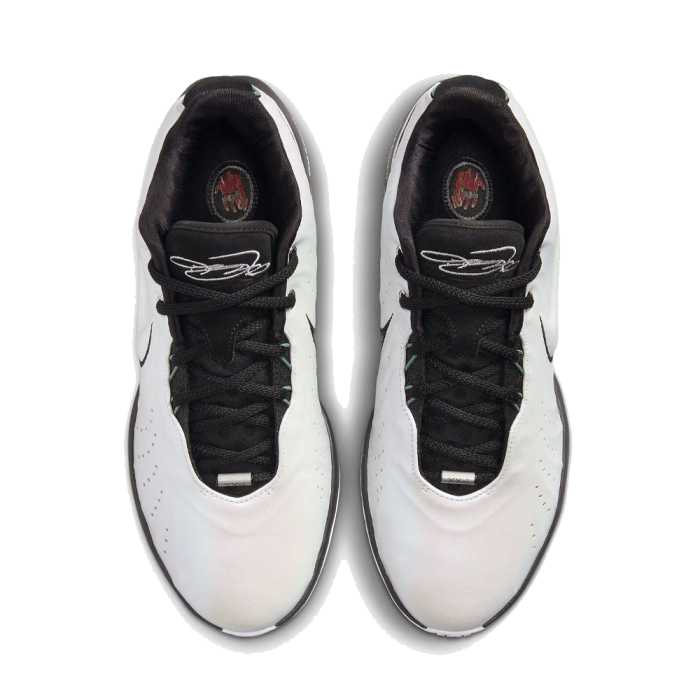 Nike LeBron XXI HF5841-100