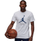 ФУТБОЛКА AIR JORDAN JUMPMAN FLIGHT WHITE AO0664-102