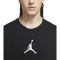 Футболка Nike Air Jordan Jumpman Dri-FIT CW5190-010