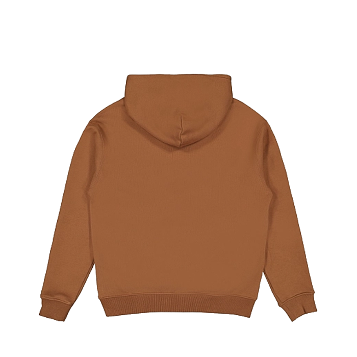 ХУДІ AIR JORDAN WORDMARK FLEECE HOODIE BROWN FJ1966-281