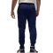 Спортивні штани Nike Air Jordan Brooklyn Fleece FV7277-410