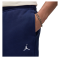 Спортивні штани Nike Air Jordan Brooklyn Fleece FV7277-410