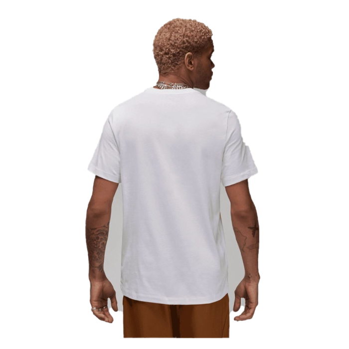 Футболка Nike Air Jordan Core Blank Crew AQ2366-100