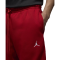 Спортивні штани Nike Air Jordan Brooklyn Fleece FV7277-687