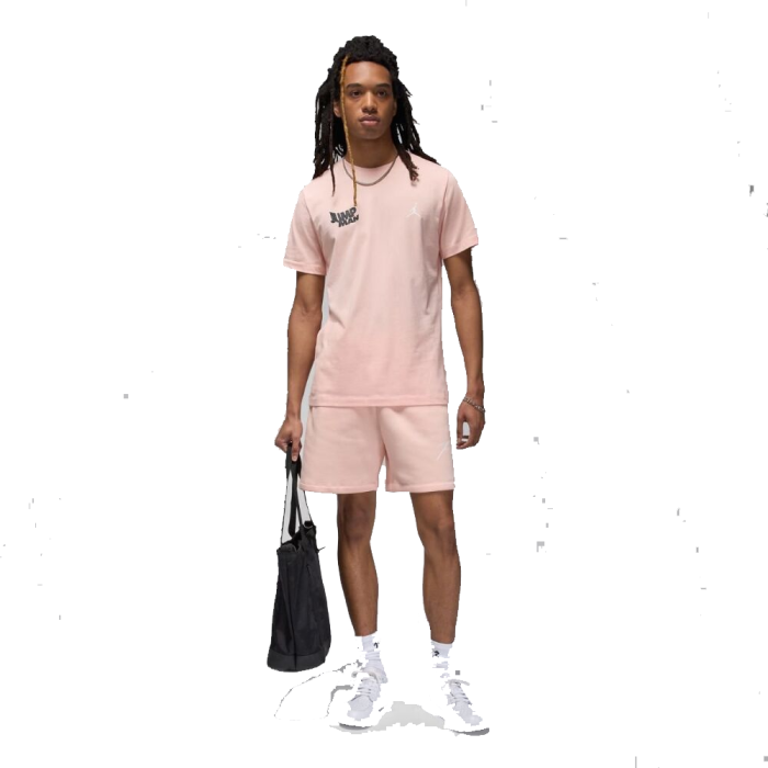 Футболка Nike Air Jordan FN6029-622
