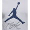 ФУТБОЛКА AIR JORDAN JUMPMAN FLIGHT WHITE AO0664-102