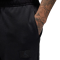 Штани чоловічі Air Jordan M Flight Flc Black FV7251-010