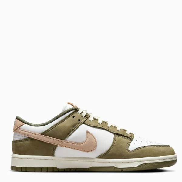 Nike Dunk Low Retro Premium FQ8250-200