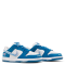Nike SB Dunk x Born x Raised