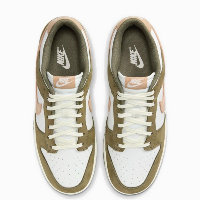 Nike Dunk Low Retro Premium FQ8250-200
