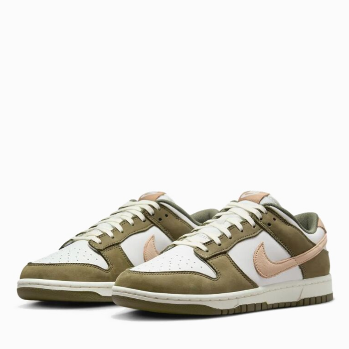 Nike Dunk Low Retro Premium FQ8250-200