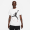 Футболка Nike Air Jordan Jumpman Air HBR Crew CV3425-101