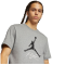 Футболка Nike Air Jordan Jumpman Flight AO0664-091